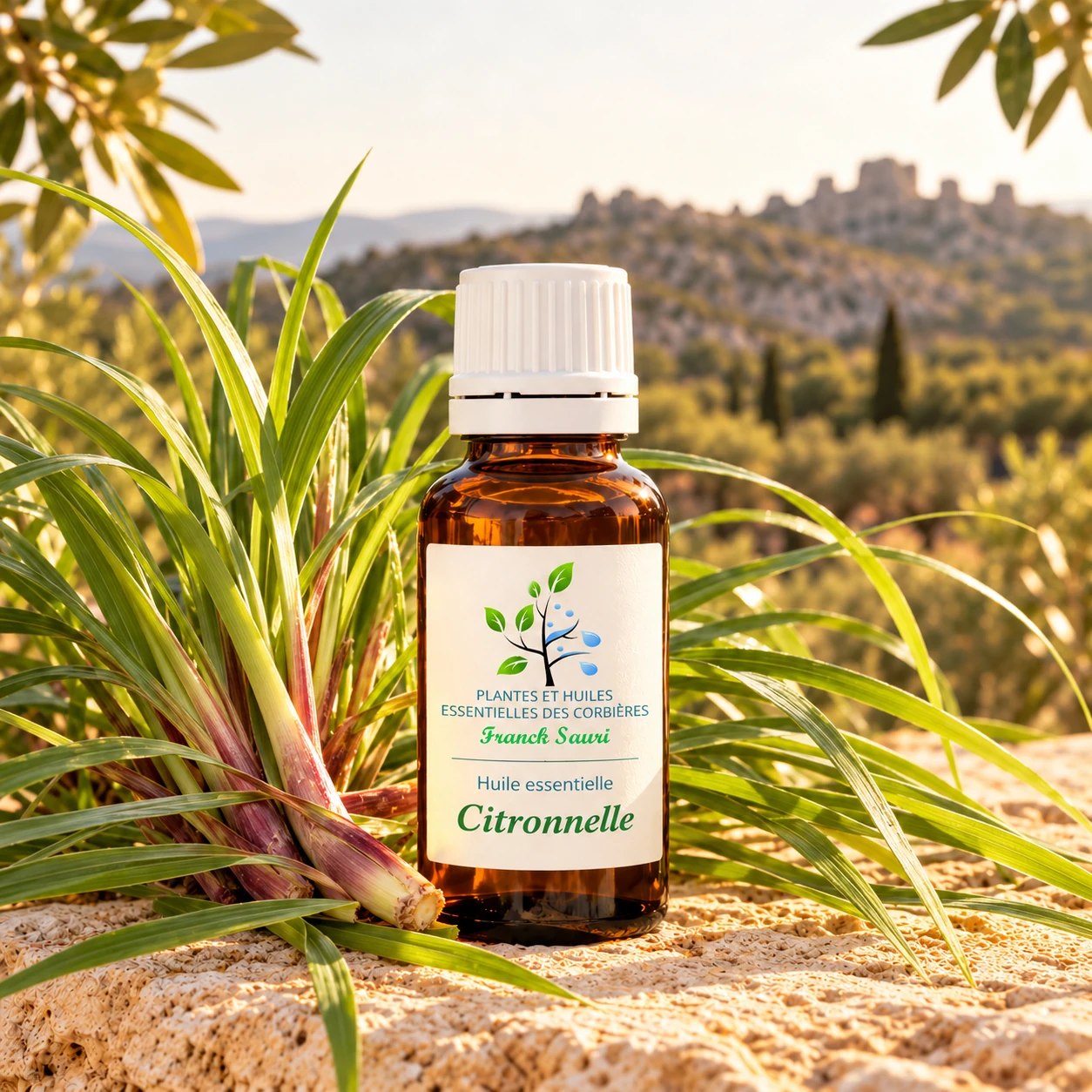 huile essentielle citronnelle bio avec sa plante associée – Franck Sauri