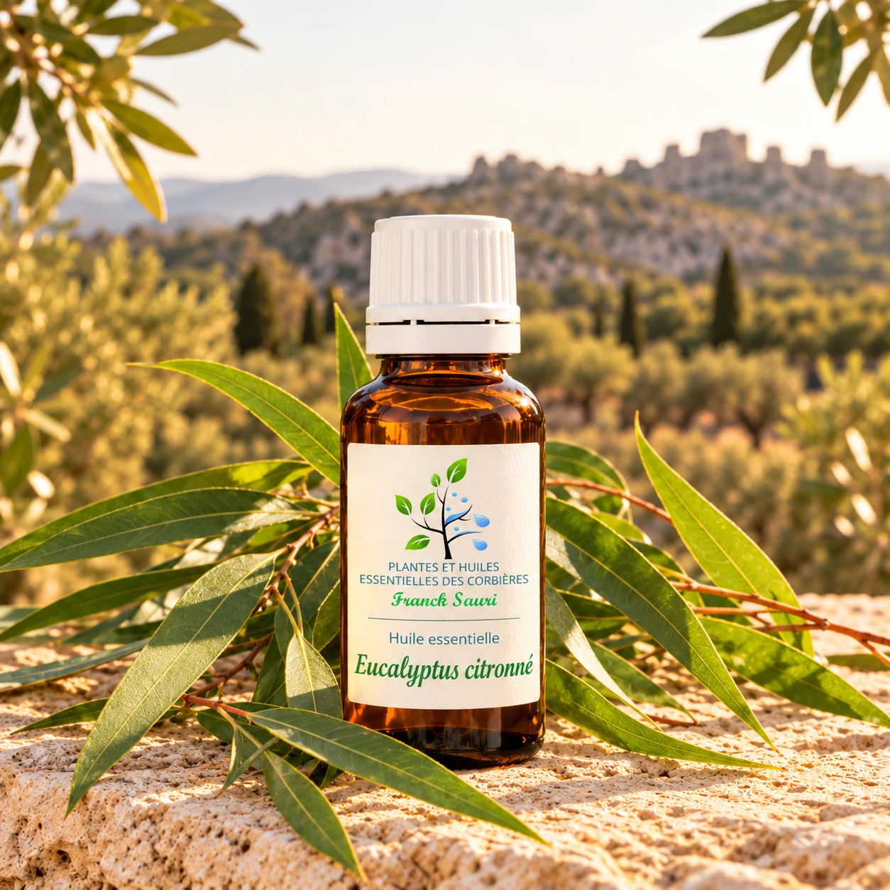 huile essentielle eucalyptus citronné (eucalyptus citriodora) avec sa plante associée – Franck Sauri