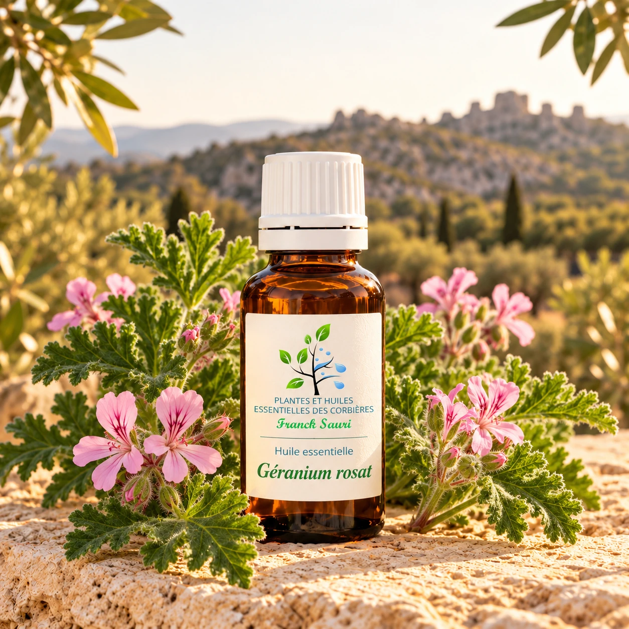 huile essentielle géranium rosat bio (pelargonium aspérum) avec sa plante associée – Franck Sauri